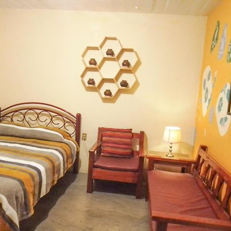 Los Nardos Hostel -Pet Friendly- Oaxaca المظهر الخارجي الصورة