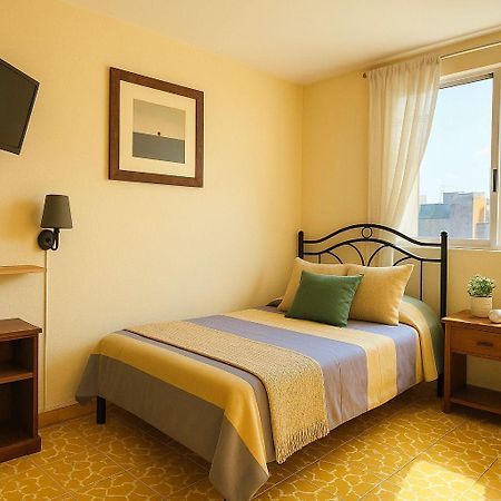 Los Nardos Hostel -Pet Friendly- Oaxaca المظهر الخارجي الصورة