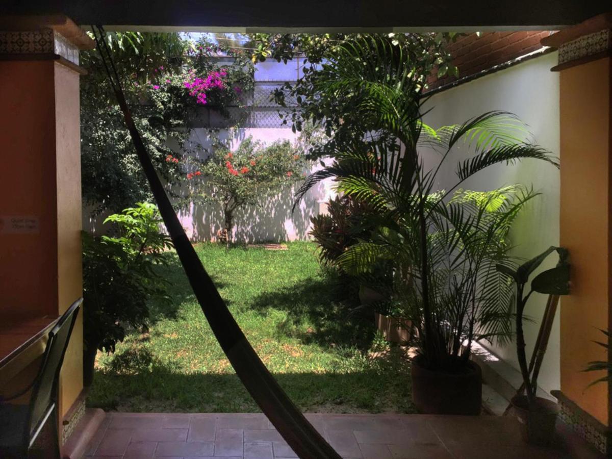 Los Nardos Hostel -Pet Friendly- Oaxaca المظهر الخارجي الصورة