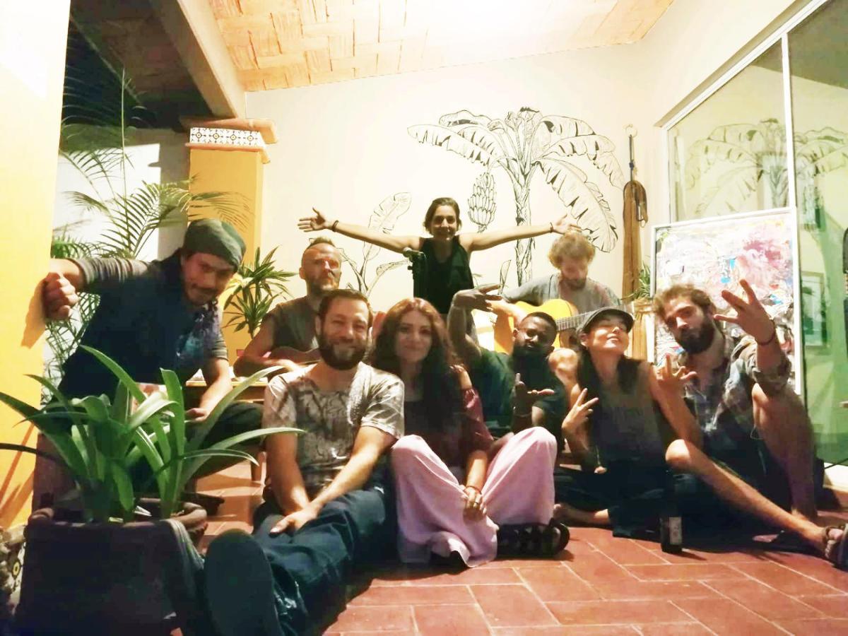 Los Nardos Hostel -Pet Friendly- Oaxaca المظهر الخارجي الصورة