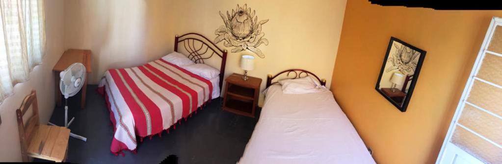 Los Nardos Hostel -Pet Friendly- Oaxaca المظهر الخارجي الصورة