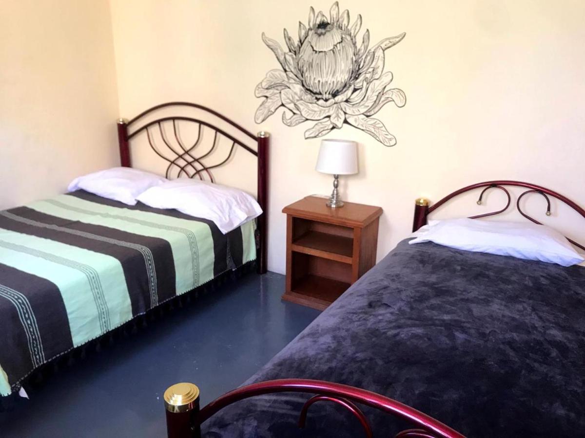 Los Nardos Hostel -Pet Friendly- Oaxaca المظهر الخارجي الصورة