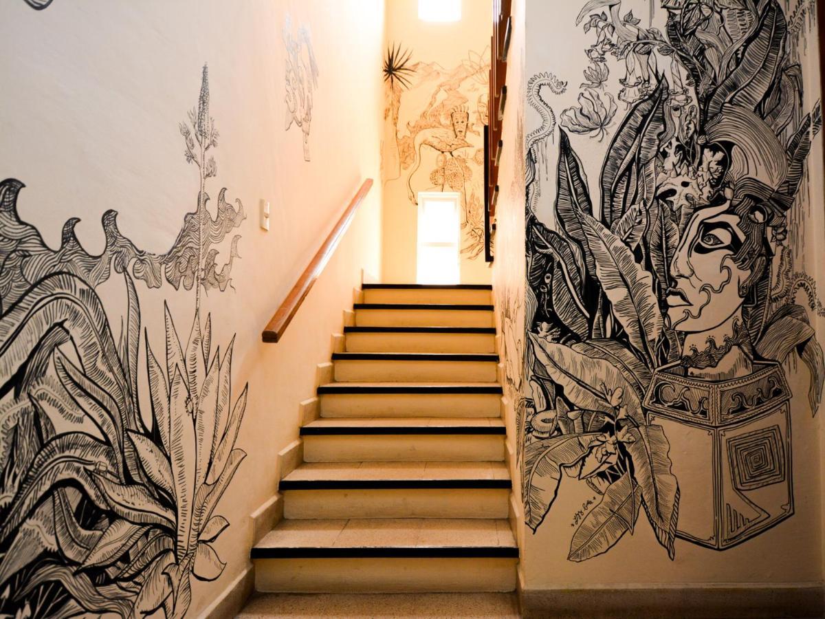 Los Nardos Hostel -Pet Friendly- Oaxaca المظهر الخارجي الصورة