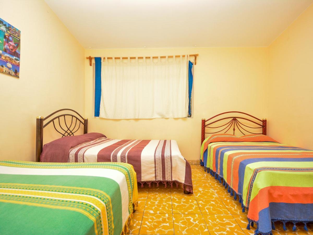 Los Nardos Hostel -Pet Friendly- Oaxaca المظهر الخارجي الصورة