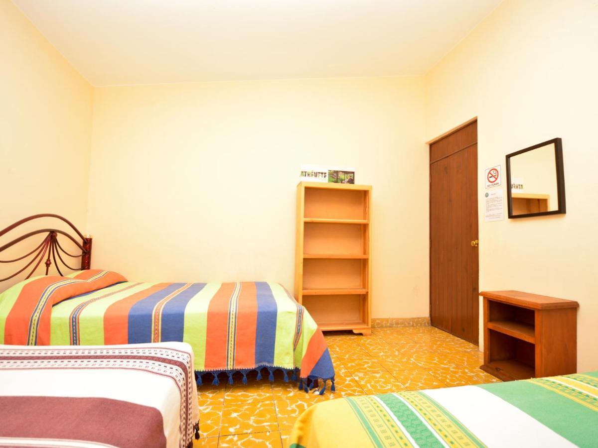 Los Nardos Hostel -Pet Friendly- Oaxaca المظهر الخارجي الصورة