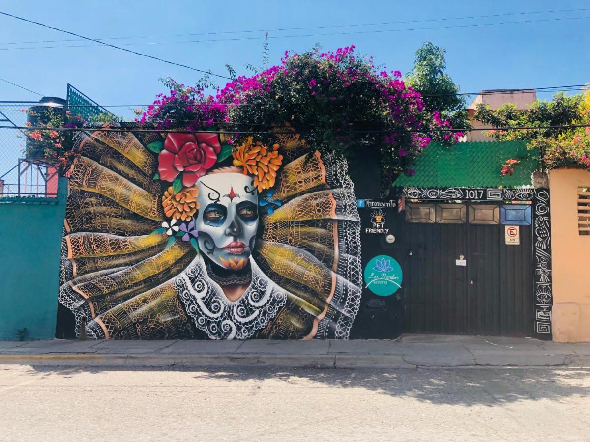 Los Nardos Hostel -Pet Friendly- Oaxaca المظهر الخارجي الصورة