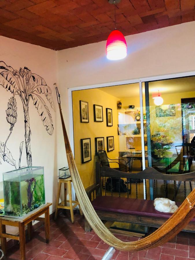 Los Nardos Hostel -Pet Friendly- Oaxaca المظهر الخارجي الصورة