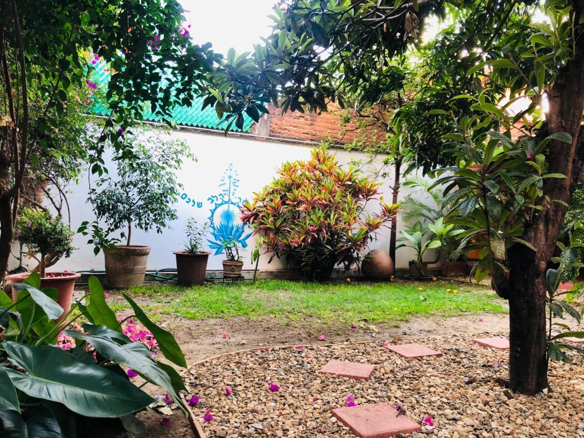 Los Nardos Hostel -Pet Friendly- Oaxaca المظهر الخارجي الصورة