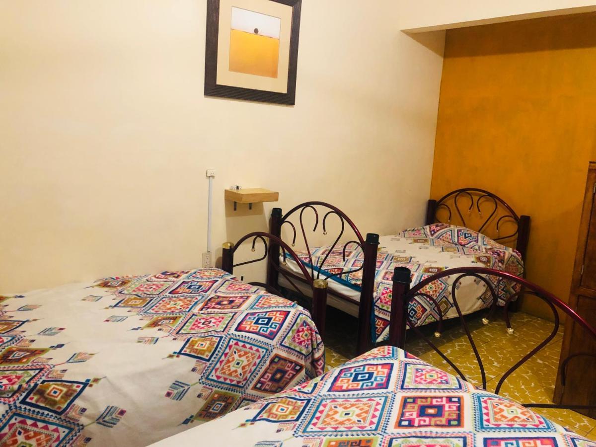 Los Nardos Hostel -Pet Friendly- Oaxaca المظهر الخارجي الصورة