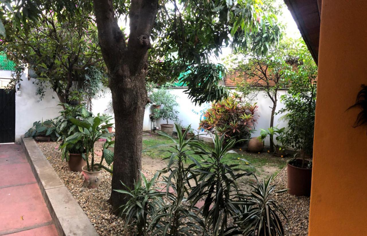 Los Nardos Hostel -Pet Friendly- Oaxaca المظهر الخارجي الصورة