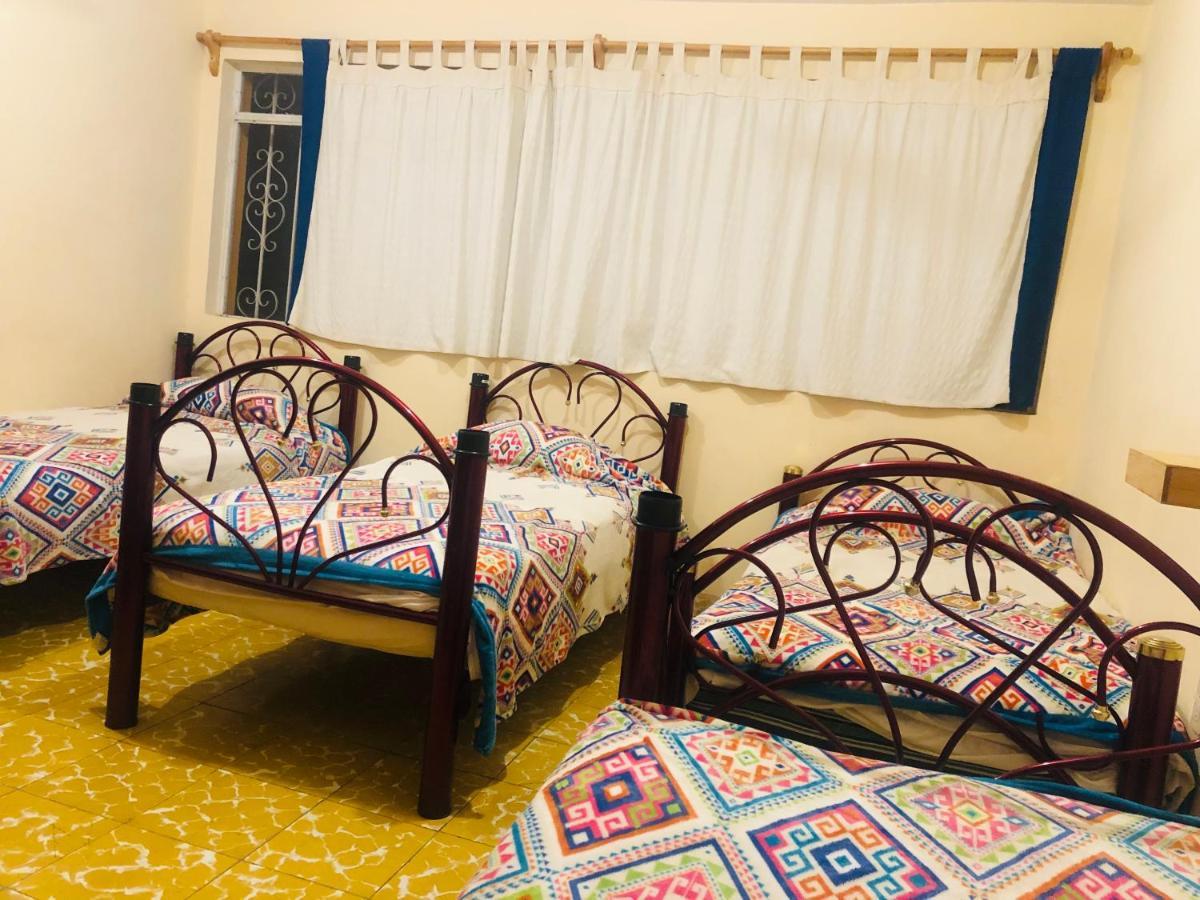 Los Nardos Hostel -Pet Friendly- Oaxaca المظهر الخارجي الصورة