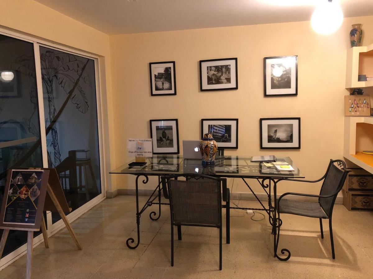 Los Nardos Hostel -Pet Friendly- Oaxaca المظهر الخارجي الصورة
