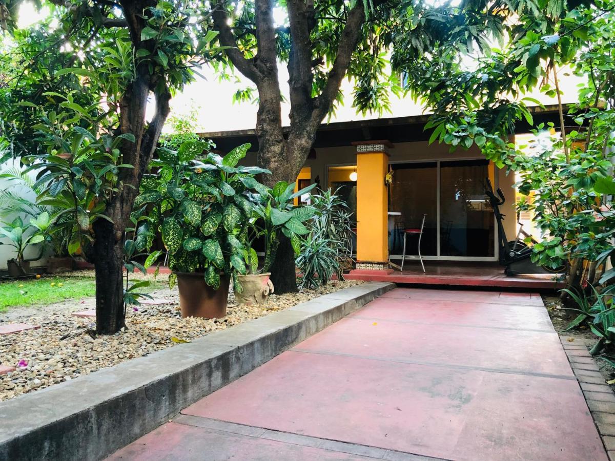 Los Nardos Hostel -Pet Friendly- Oaxaca المظهر الخارجي الصورة