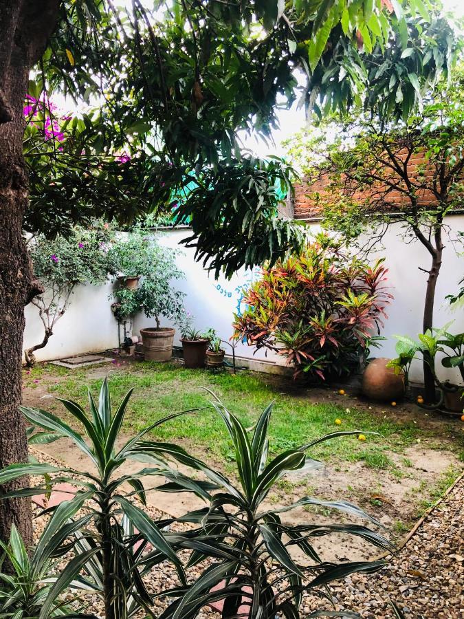 Los Nardos Hostel -Pet Friendly- Oaxaca المظهر الخارجي الصورة