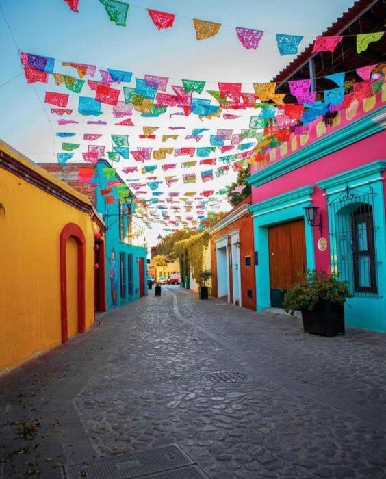 Los Nardos Hostel -Pet Friendly- Oaxaca المظهر الخارجي الصورة