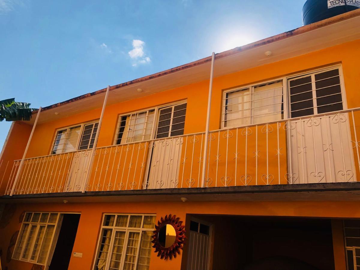 Los Nardos Hostel -Pet Friendly- Oaxaca المظهر الخارجي الصورة