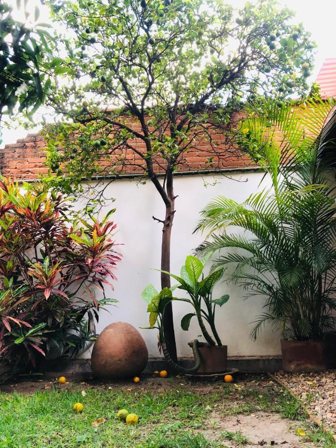 Los Nardos Hostel -Pet Friendly- Oaxaca المظهر الخارجي الصورة