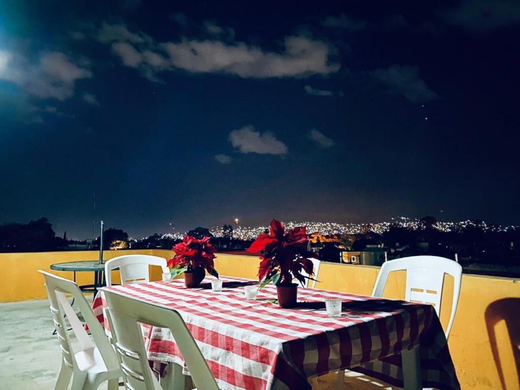 Los Nardos Hostel -Pet Friendly- Oaxaca المظهر الخارجي الصورة