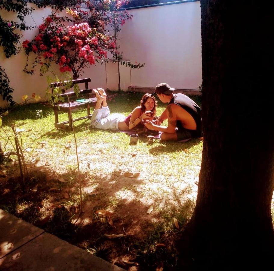 Los Nardos Hostel -Pet Friendly- Oaxaca المظهر الخارجي الصورة