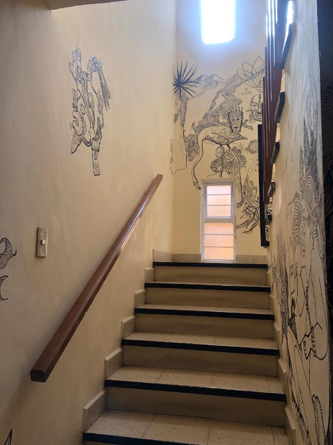 Los Nardos Hostel -Pet Friendly- Oaxaca المظهر الخارجي الصورة