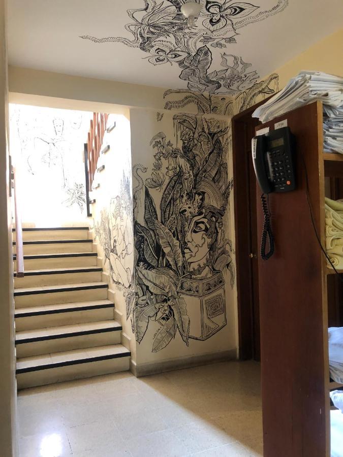 Los Nardos Hostel -Pet Friendly- Oaxaca المظهر الخارجي الصورة