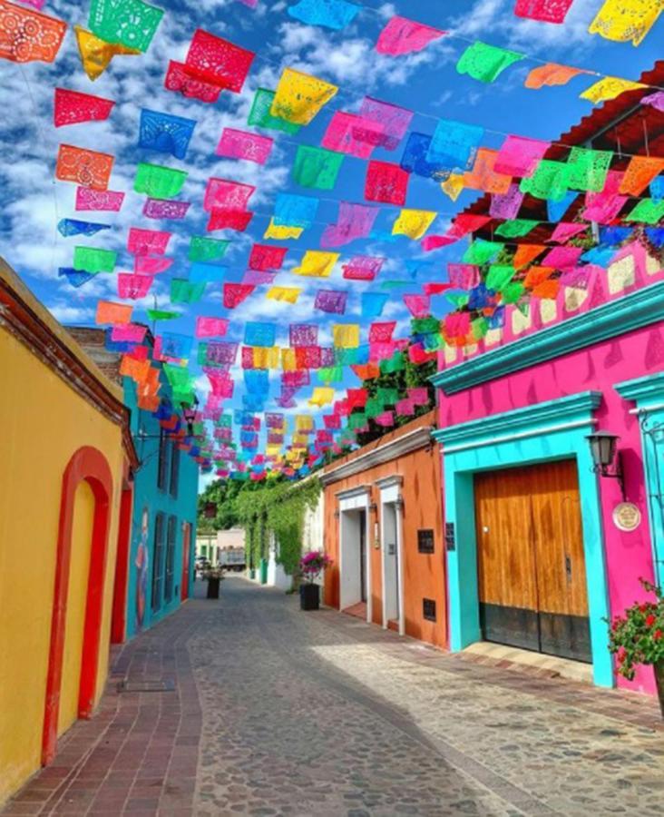 Los Nardos Hostel -Pet Friendly- Oaxaca المظهر الخارجي الصورة