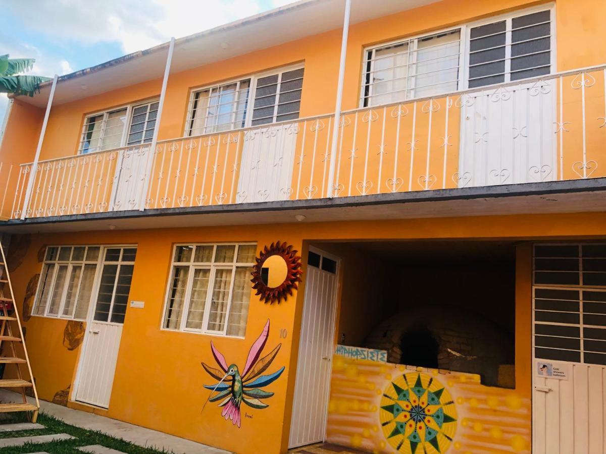 Los Nardos Hostel -Pet Friendly- Oaxaca المظهر الخارجي الصورة