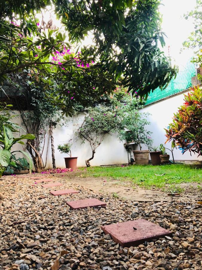 Los Nardos Hostel -Pet Friendly- Oaxaca المظهر الخارجي الصورة