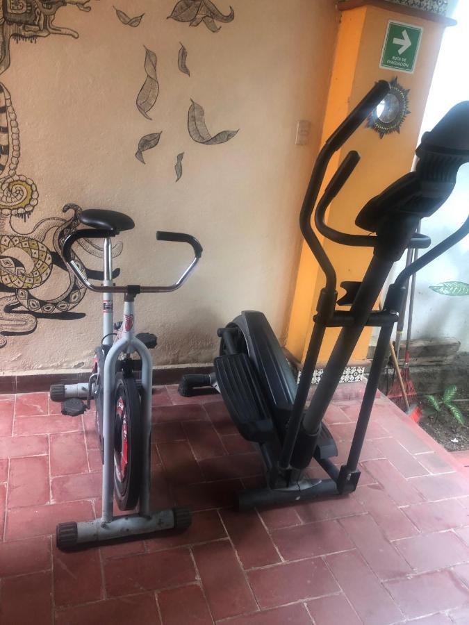 Los Nardos Hostel -Pet Friendly- Oaxaca المظهر الخارجي الصورة