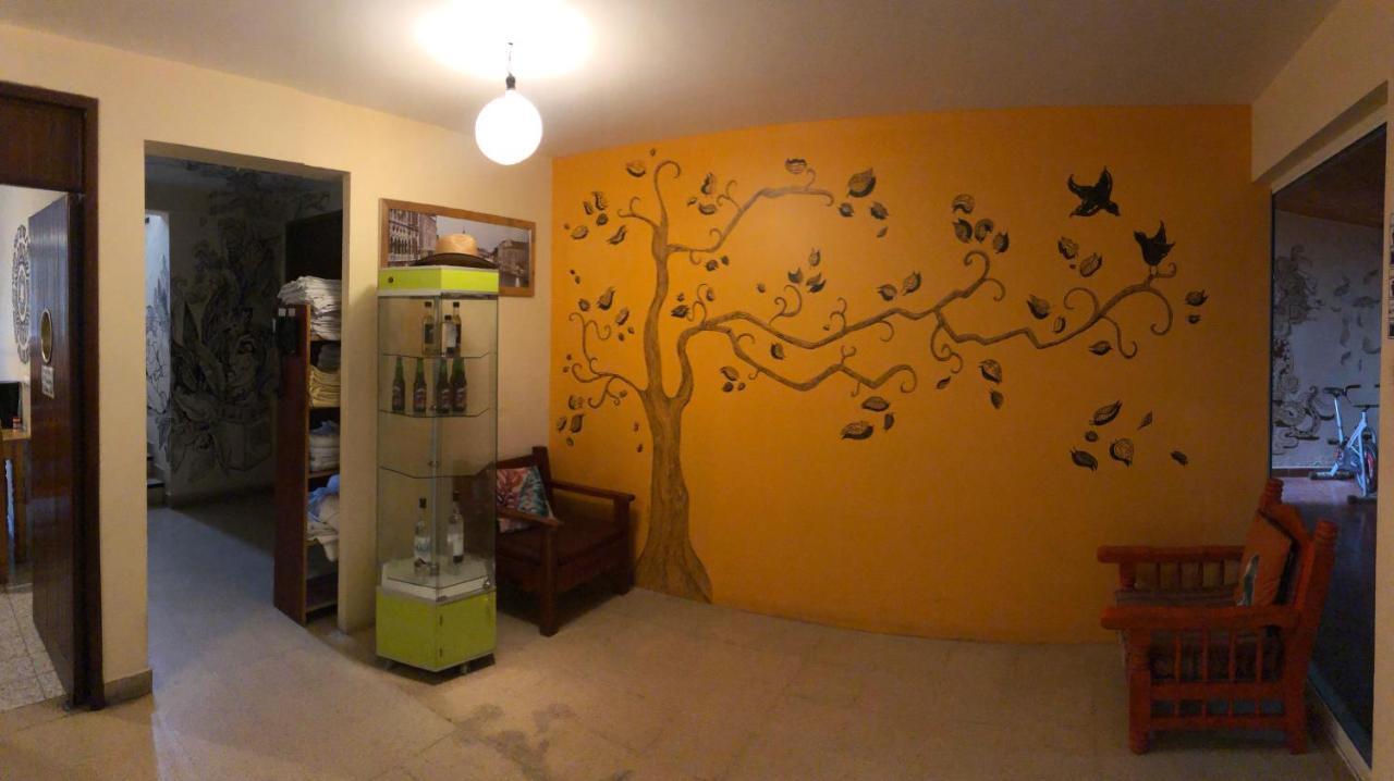 Los Nardos Hostel -Pet Friendly- Oaxaca المظهر الخارجي الصورة