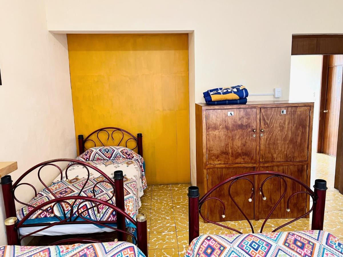 Los Nardos Hostel -Pet Friendly- Oaxaca المظهر الخارجي الصورة