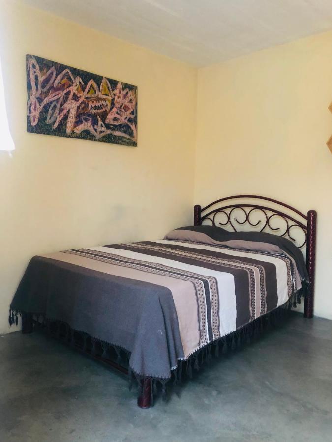 Los Nardos Hostel -Pet Friendly- Oaxaca المظهر الخارجي الصورة