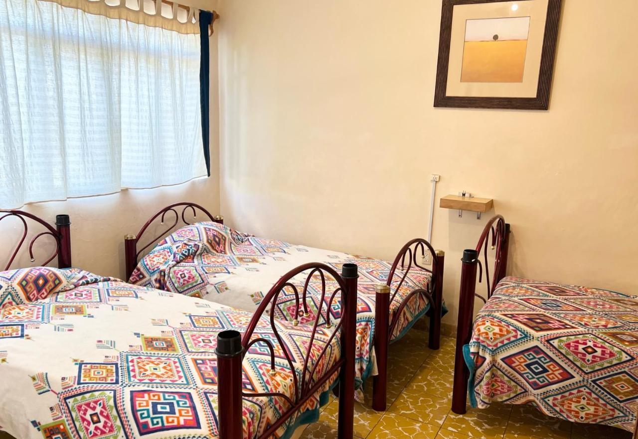 Los Nardos Hostel -Pet Friendly- Oaxaca المظهر الخارجي الصورة