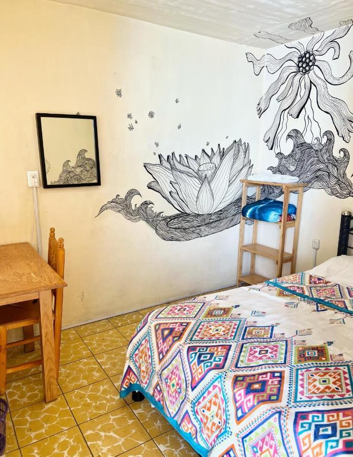 Los Nardos Hostel -Pet Friendly- Oaxaca المظهر الخارجي الصورة