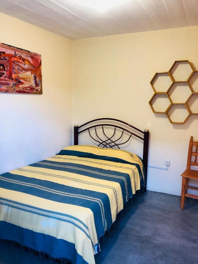 Los Nardos Hostel -Pet Friendly- Oaxaca المظهر الخارجي الصورة