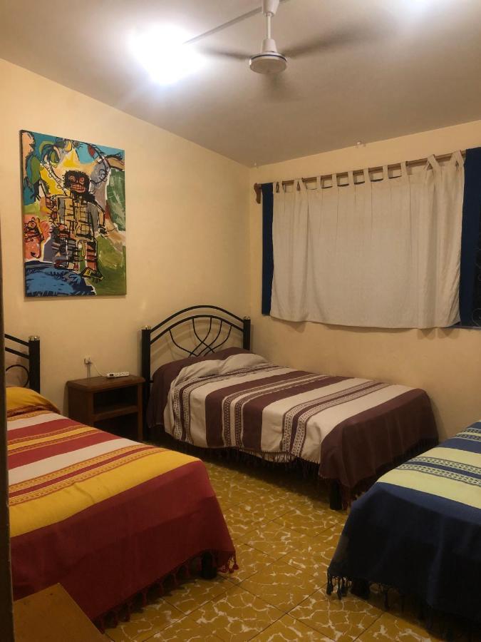 Los Nardos Hostel -Pet Friendly- Oaxaca المظهر الخارجي الصورة