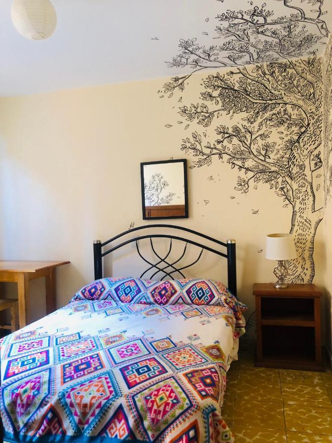 Los Nardos Hostel -Pet Friendly- Oaxaca المظهر الخارجي الصورة