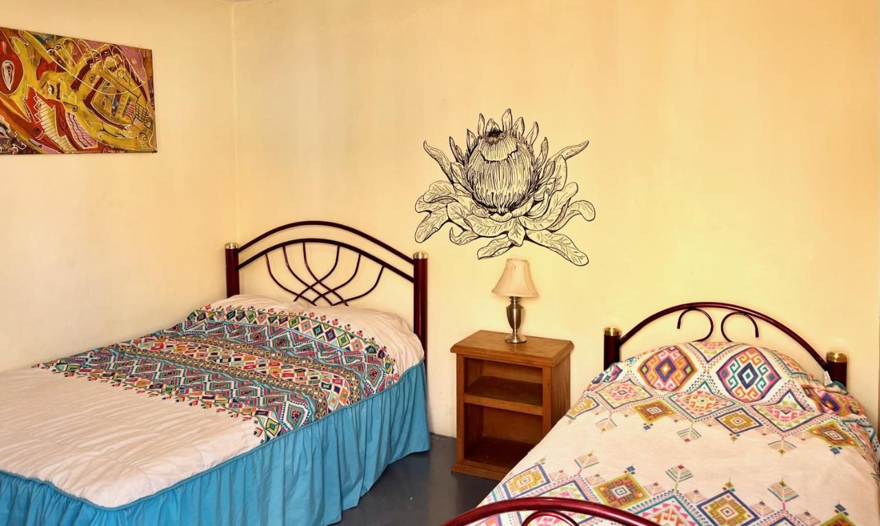 Los Nardos Hostel -Pet Friendly- Oaxaca المظهر الخارجي الصورة