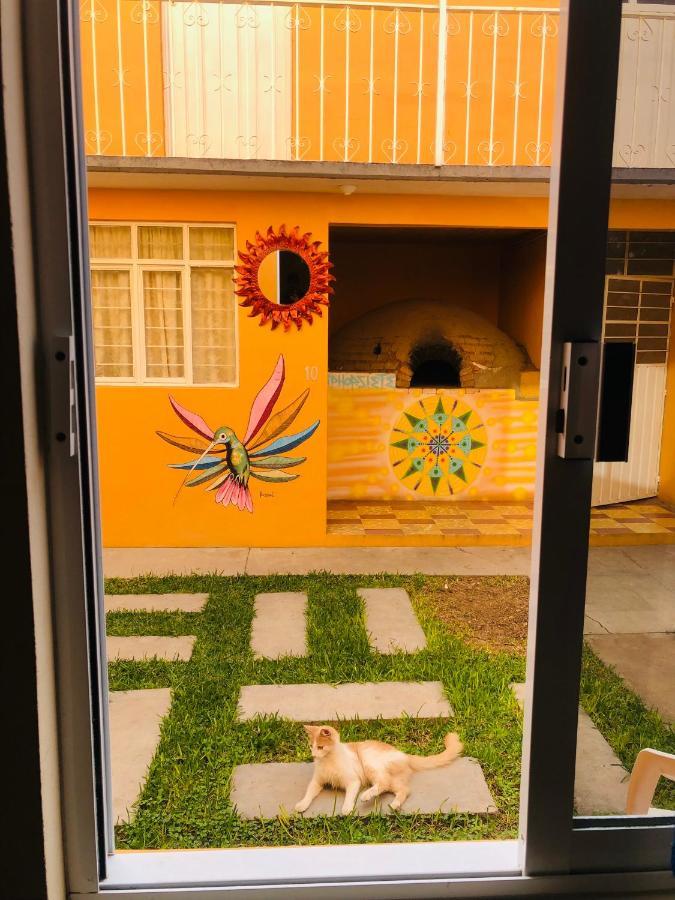 Los Nardos Hostel -Pet Friendly- Oaxaca المظهر الخارجي الصورة