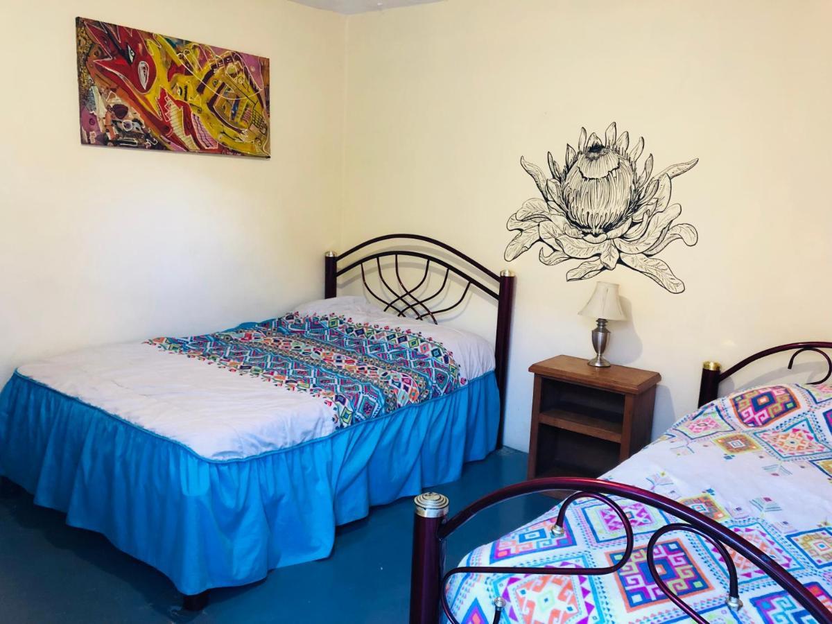 Los Nardos Hostel -Pet Friendly- Oaxaca المظهر الخارجي الصورة