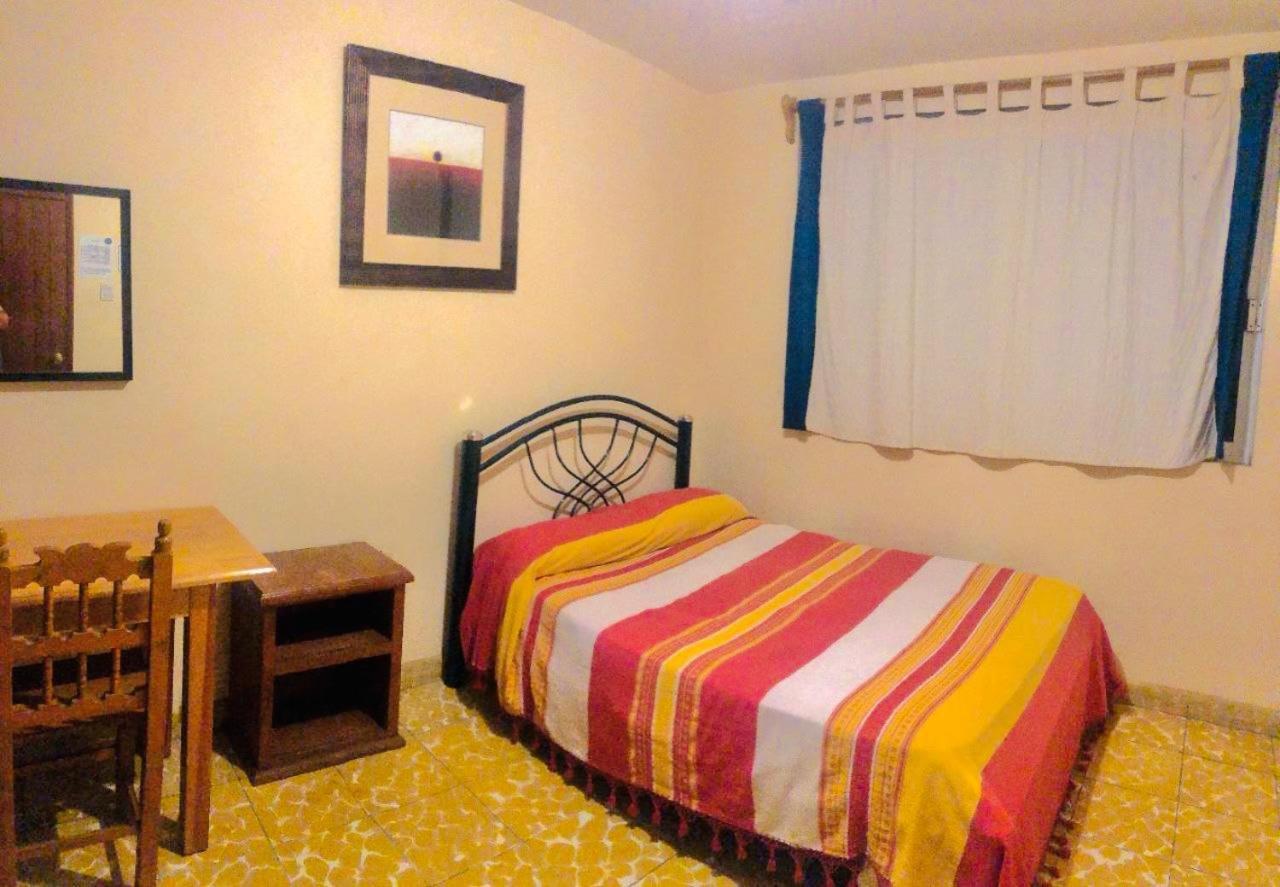 Los Nardos Hostel -Pet Friendly- Oaxaca المظهر الخارجي الصورة