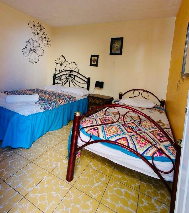 Los Nardos Hostel -Pet Friendly- Oaxaca المظهر الخارجي الصورة