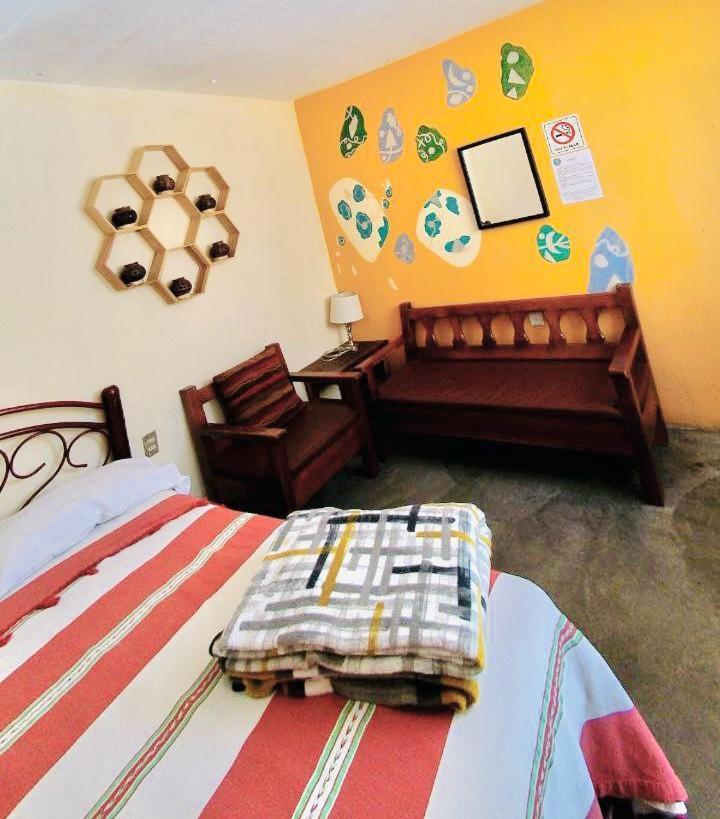 Los Nardos Hostel -Pet Friendly- Oaxaca المظهر الخارجي الصورة