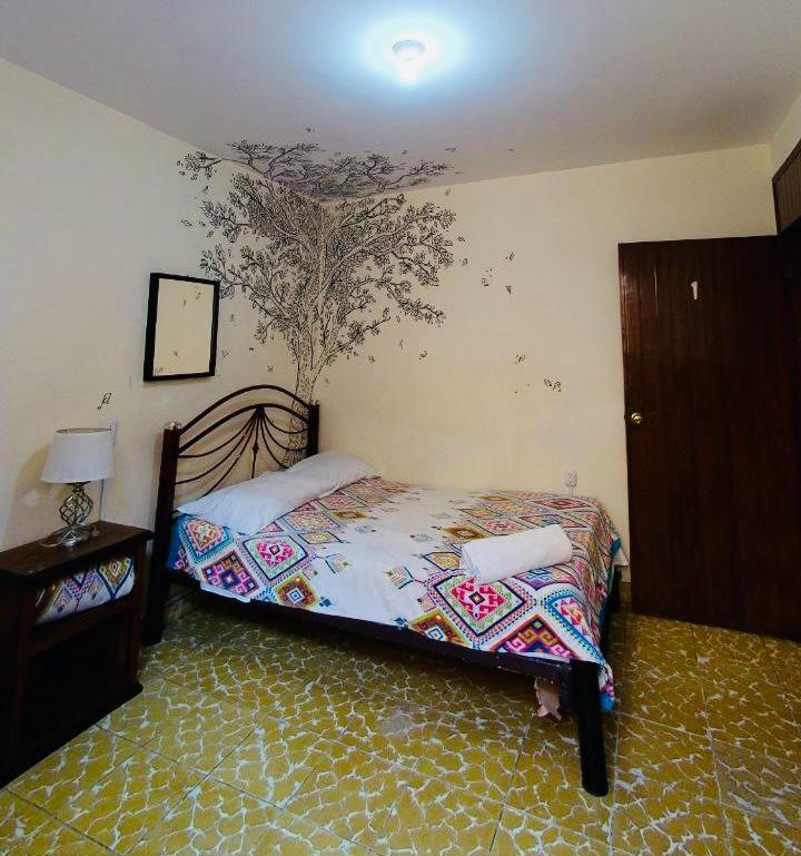 Los Nardos Hostel -Pet Friendly- Oaxaca المظهر الخارجي الصورة