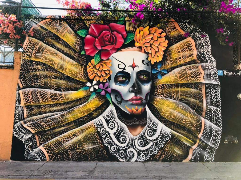 Los Nardos Hostel -Pet Friendly- Oaxaca المظهر الخارجي الصورة