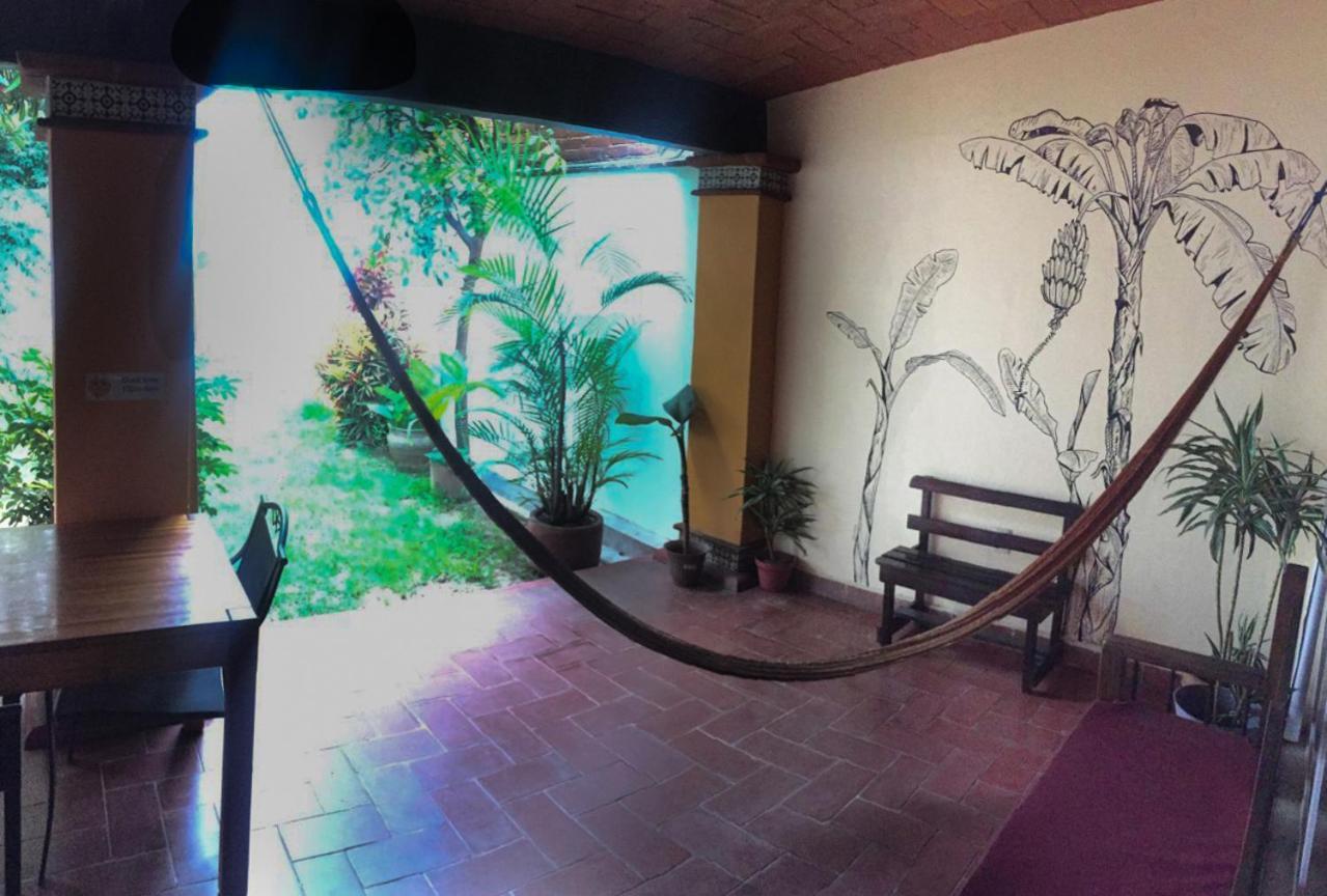Los Nardos Hostel -Pet Friendly- Oaxaca المظهر الخارجي الصورة