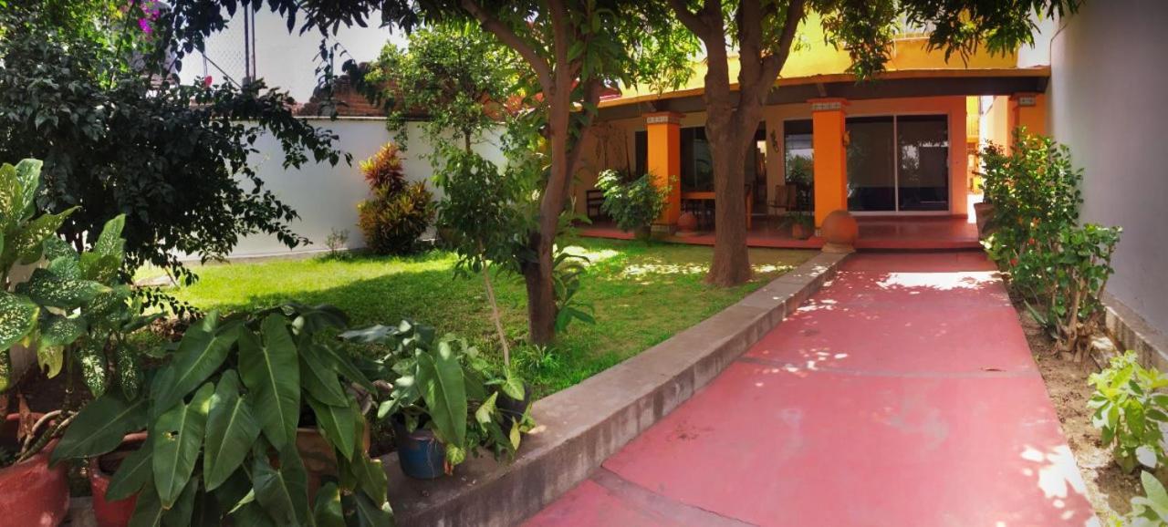 Los Nardos Hostel -Pet Friendly- Oaxaca المظهر الخارجي الصورة
