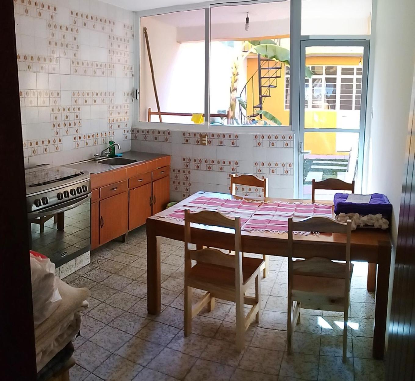 Los Nardos Hostel -Pet Friendly- Oaxaca المظهر الخارجي الصورة