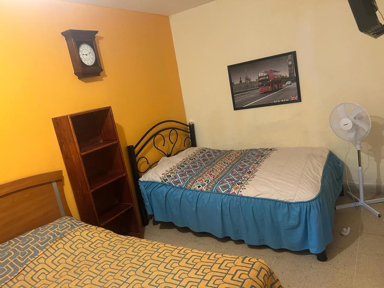 Los Nardos Hostel -Pet Friendly- Oaxaca المظهر الخارجي الصورة